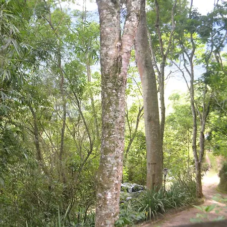 Pousada Encanto Da Bocaina - Serra Da Bocaina Sao Jose do Barreiro  Exterior photo