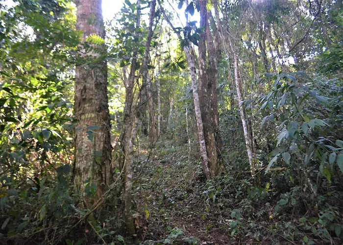Pousada Encanto Da Bocaina - Serra Da Bocaina