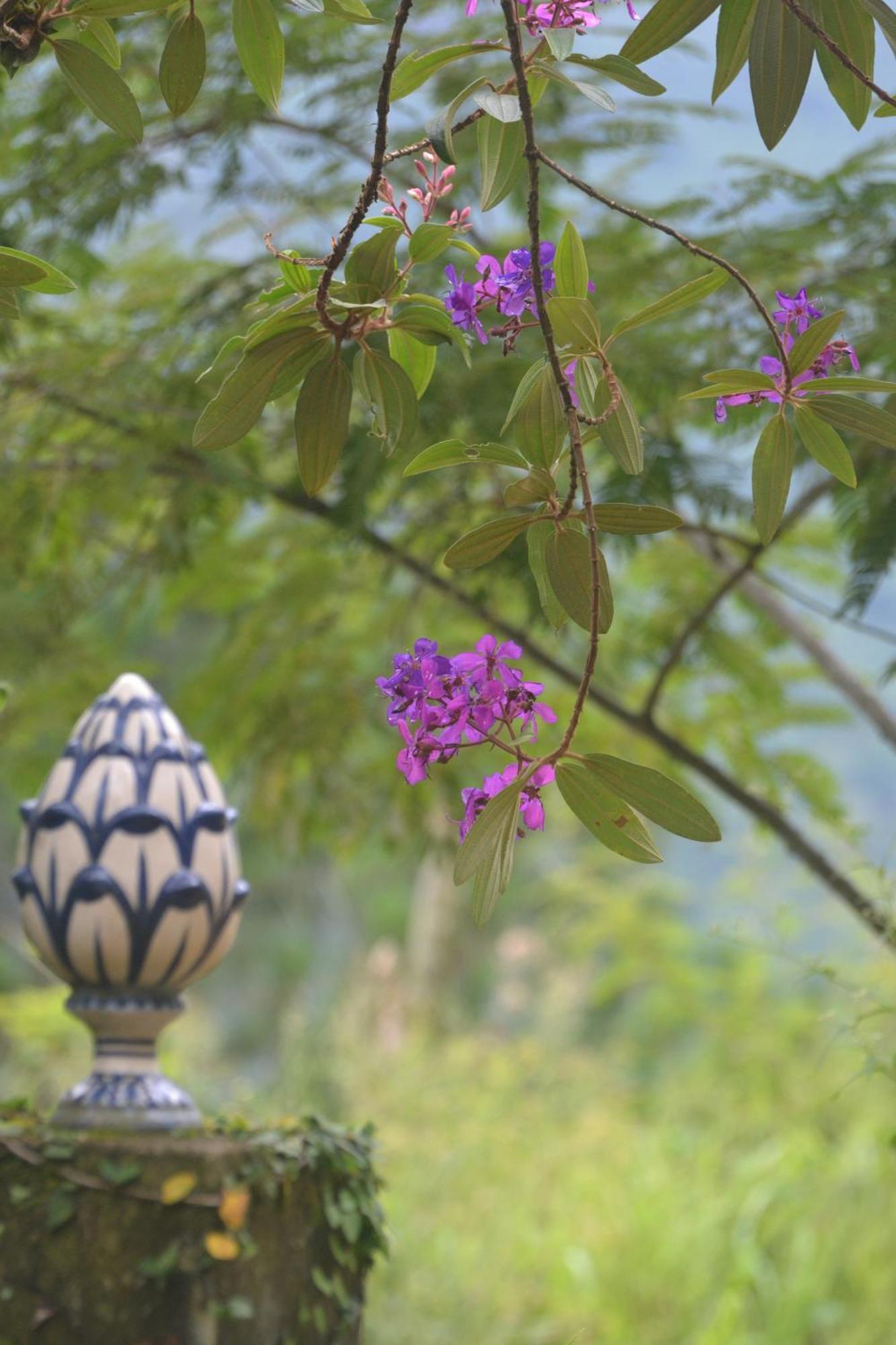 Encanto Da Bocaina - Serra Da Bocaina Inn Sao Jose do Barreiro (Sao Paulo)