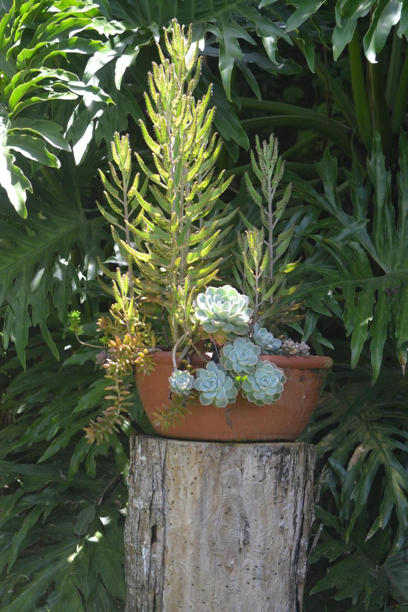 Encanto Da Bocaina - Serra Da Bocaina Inn