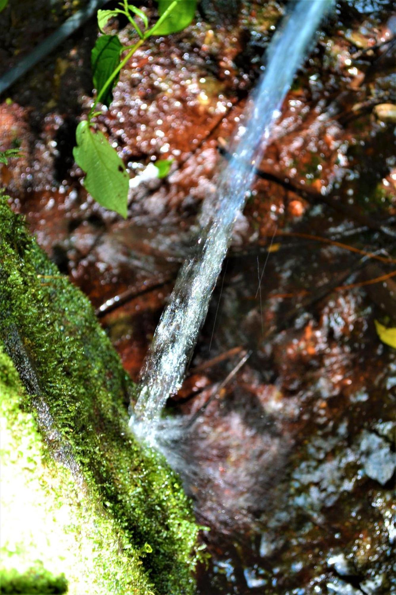 Encanto Da Bocaina - Serra Da Bocaina
